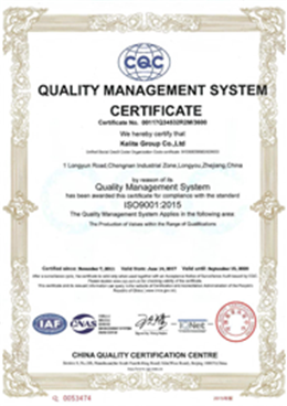 ISO 9001